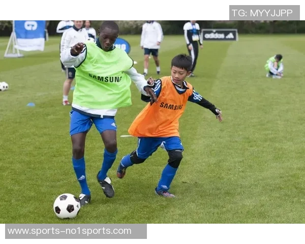 燕倾天下足球：探索足球背后的故事与激情，感受赛场上的荣耀与梦想